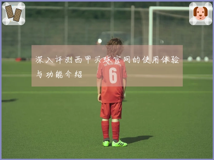 深入评测西甲买球官网的使用体验与功能介绍