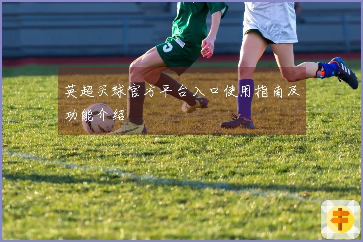 英超买球官方平台入口使用指南及功能介绍