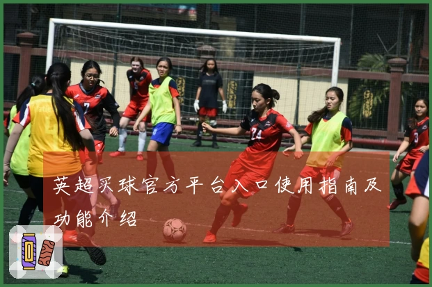 英超买球官方平台入口使用指南及功能介绍